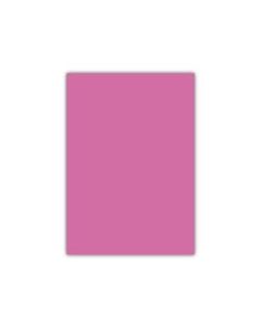 Bigpoint A4 Cilt Kapağı 150 Mikron Opak Pembe 100'lü Paket