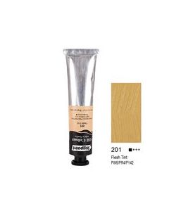 Bigpoint Yağlı Boya 200 ml Flesh Tint 201