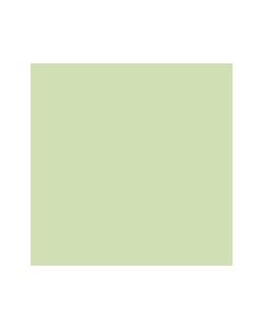 Spectra Color Fotokopi Kağıdı Açık Yeşil A4 500'lü